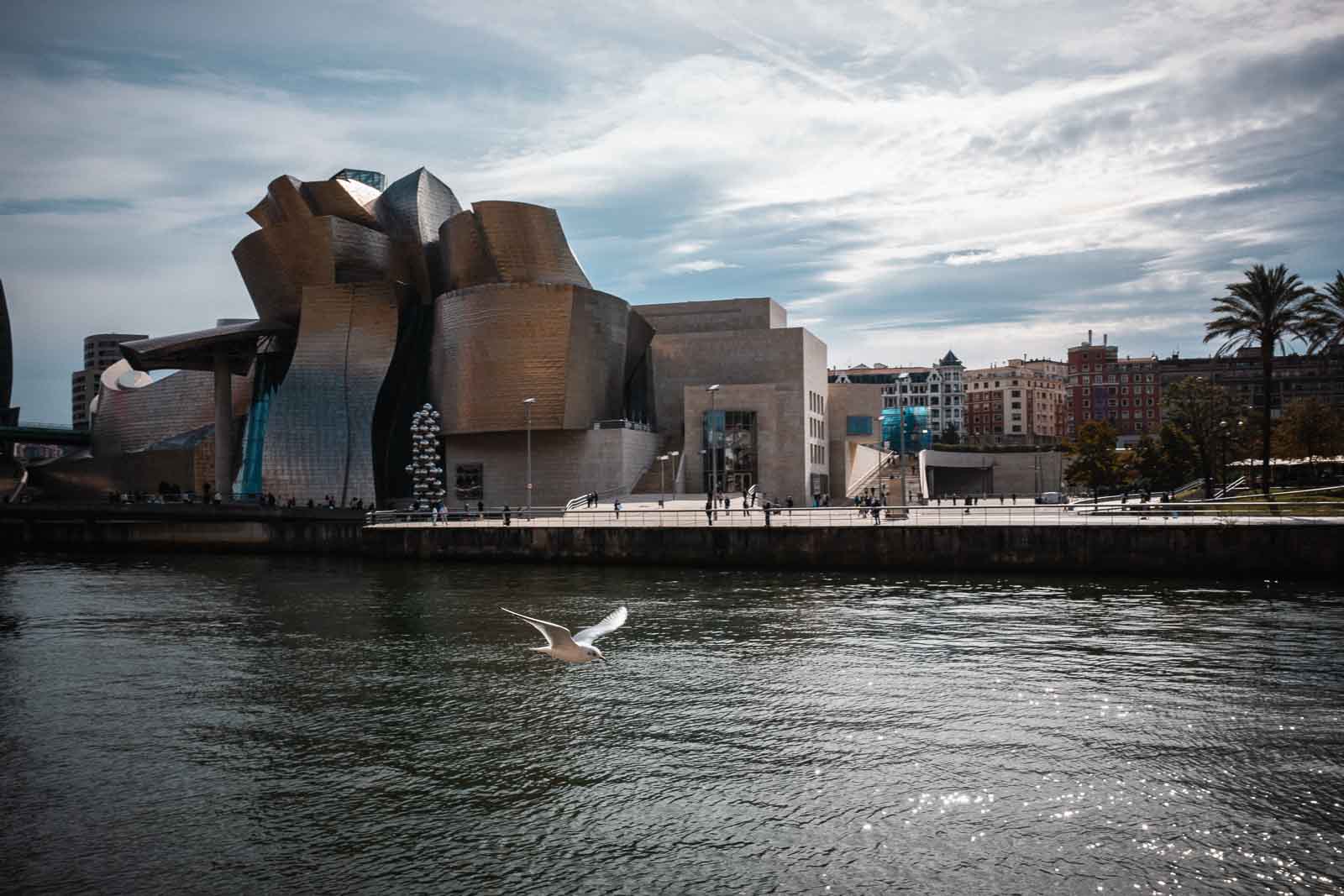 Museo Guggenheim Bilbao visto desde la otra orilla de la ría con una gaviota en vuelo